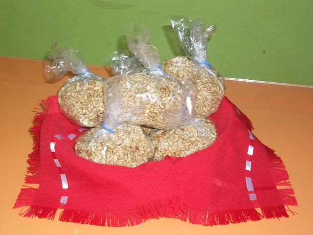 semilla de gurasol
