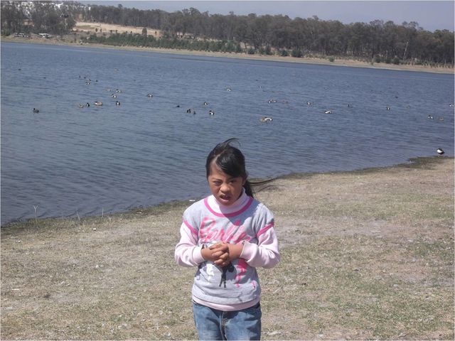 en el lago